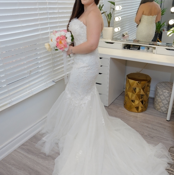 Bridal Gown Bravo Bridals GREAT CONDITION - Picture 10 of 16